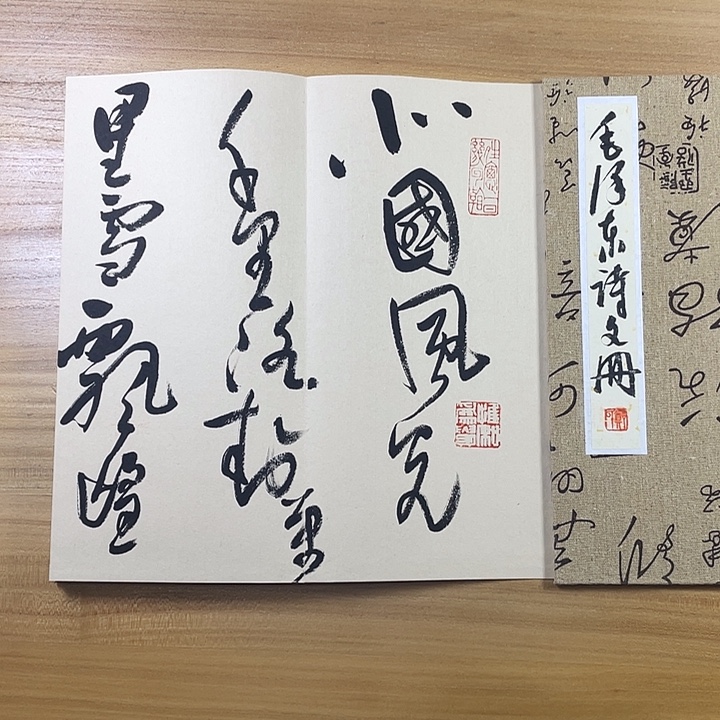 书法中书协会员作品