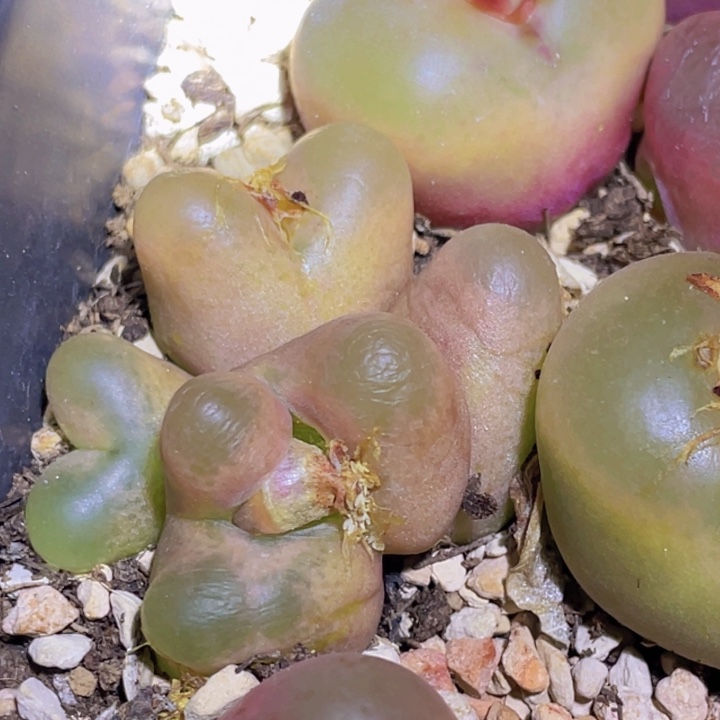 5888888889888899888888880