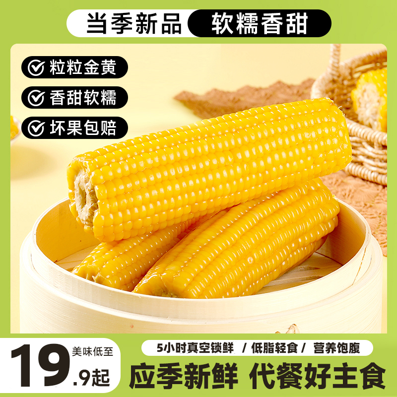 【整箱14根】25年头茬东北小黄糯玉米糯香甜净重6.5斤-7斤（试吃2根）
