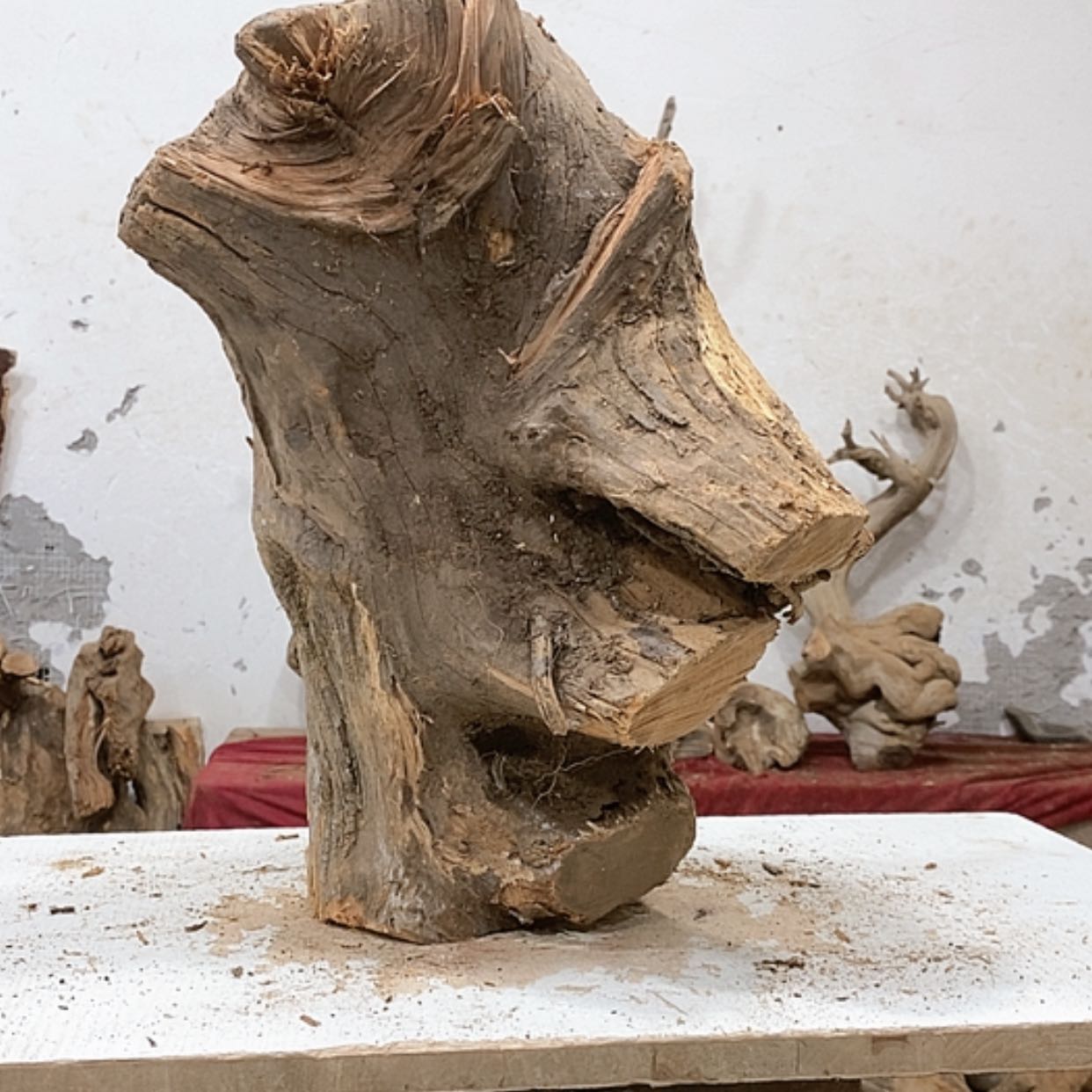 【闪购商品】柏木7*7我们都是好孩子