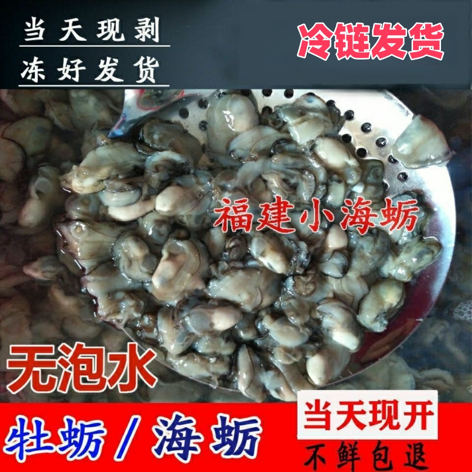 福建东山岛5斤装现开现发长在石头上的野生海蛎肉鲜活特大生蚝肉