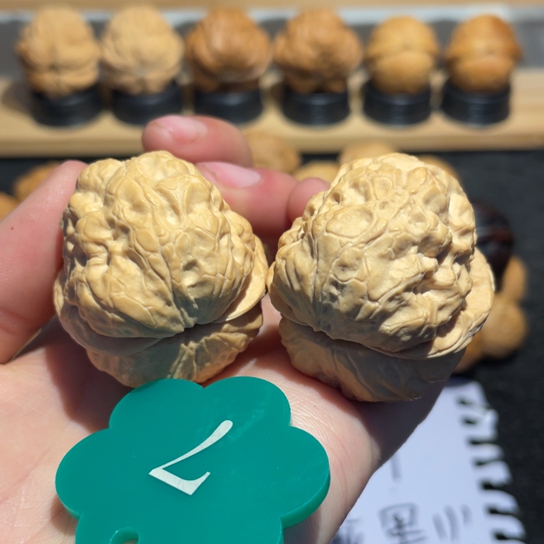 金蟾蛤蟆头微彩37。  