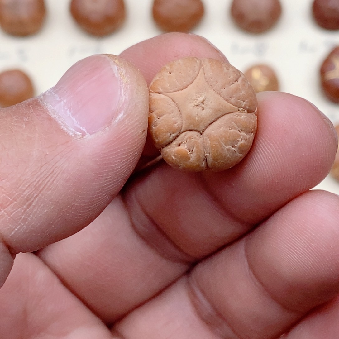 龙眼菩提吊坠五星三通