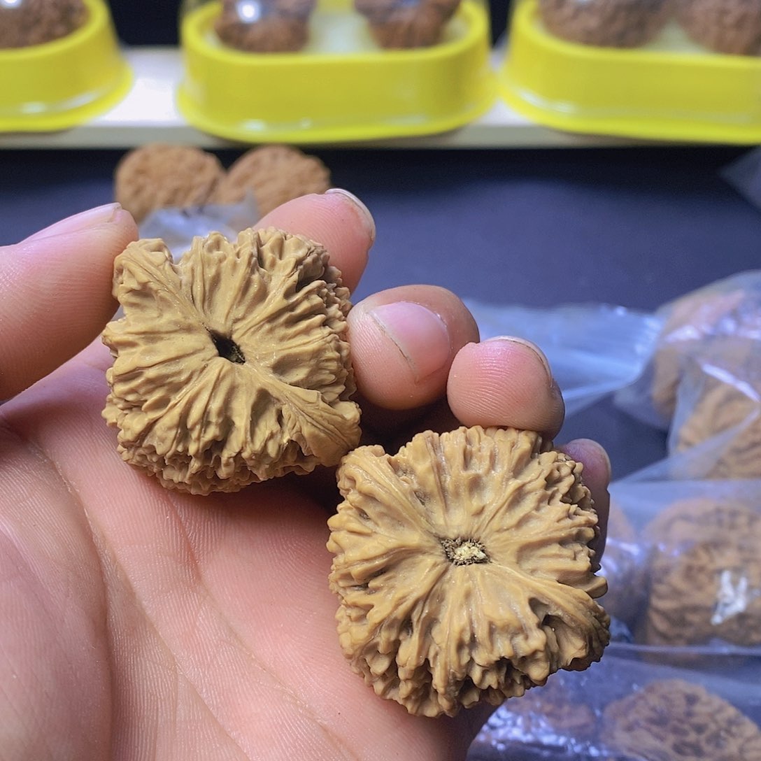 呼****谱文玩核桃南疆石我有色差009