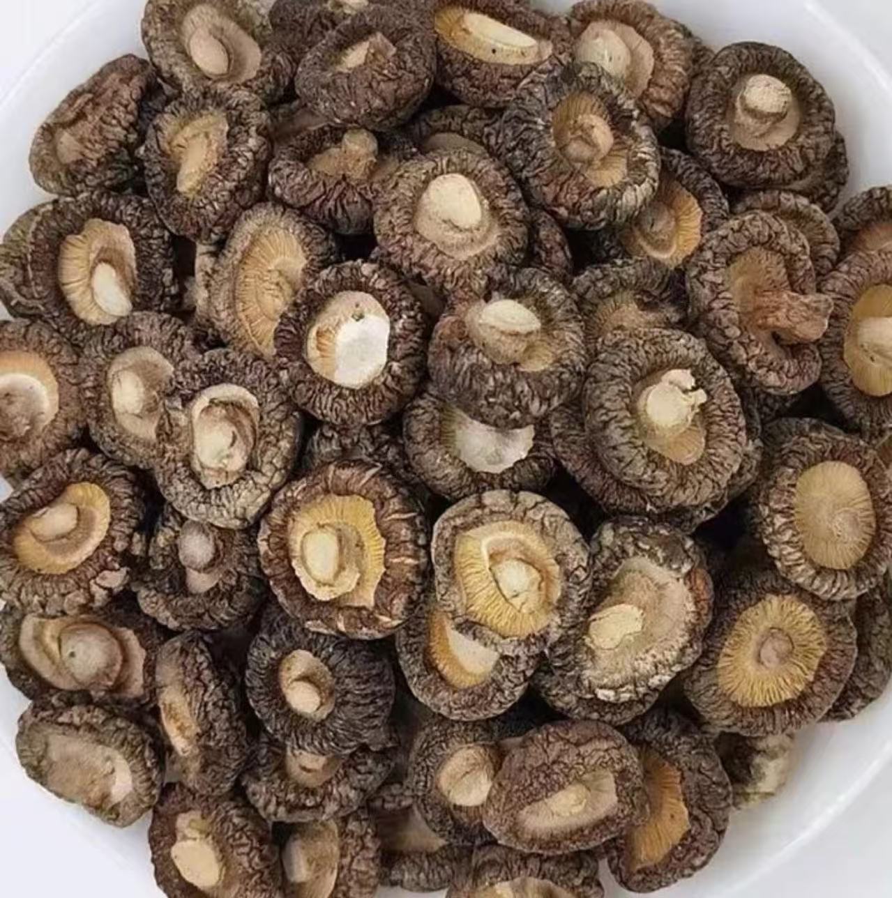 （粉丝福利）野生香茹香喷喷
