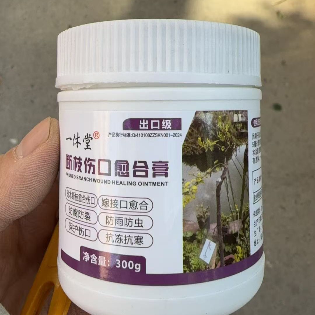 金弹子断枝膏1盒