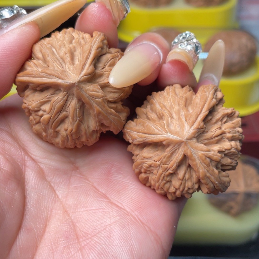 文玩核桃把件39全品玉龙粗筋球奔