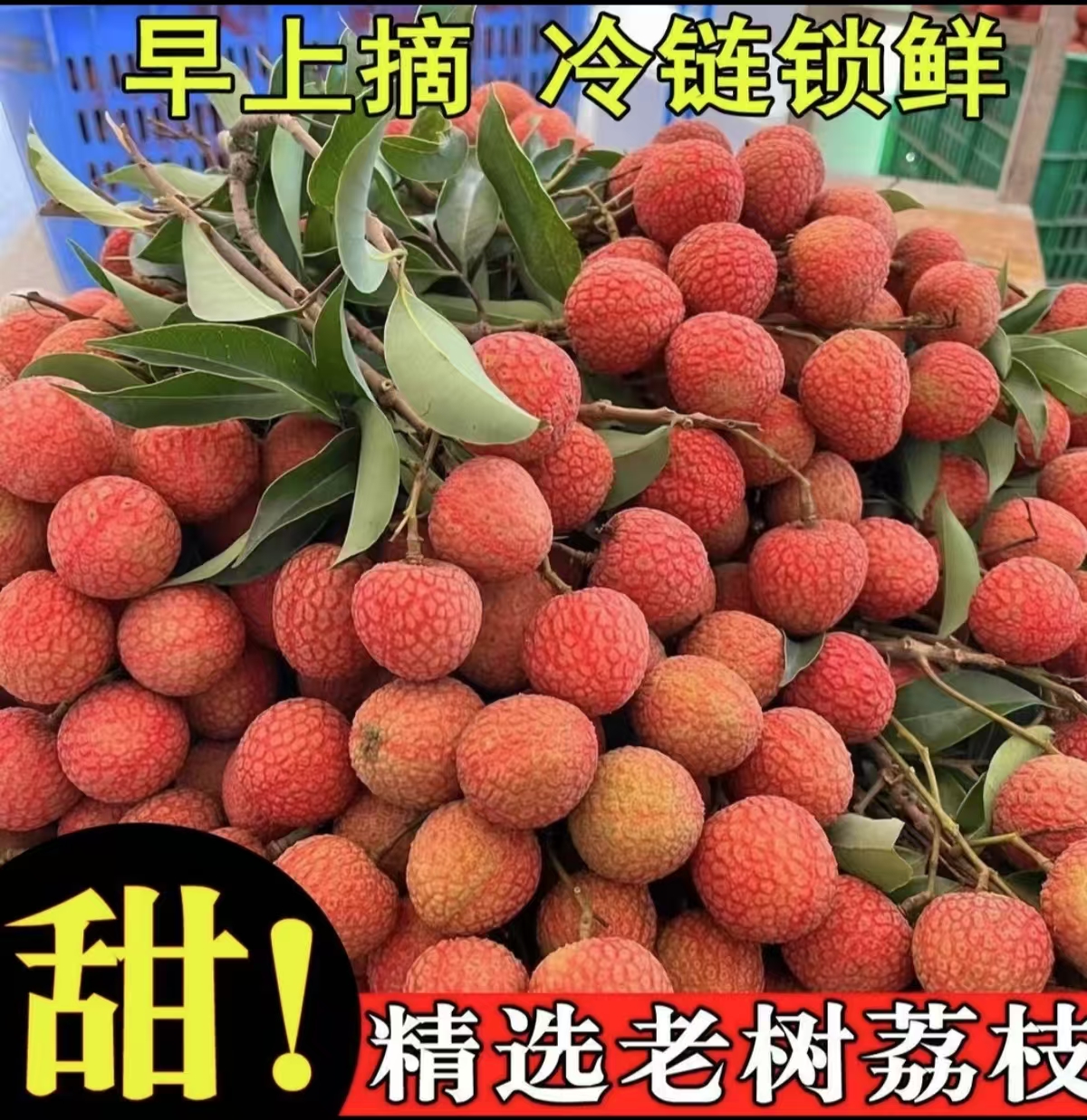 【冷链直发】头茬新鲜荔枝当季新鲜水果当季精选果
