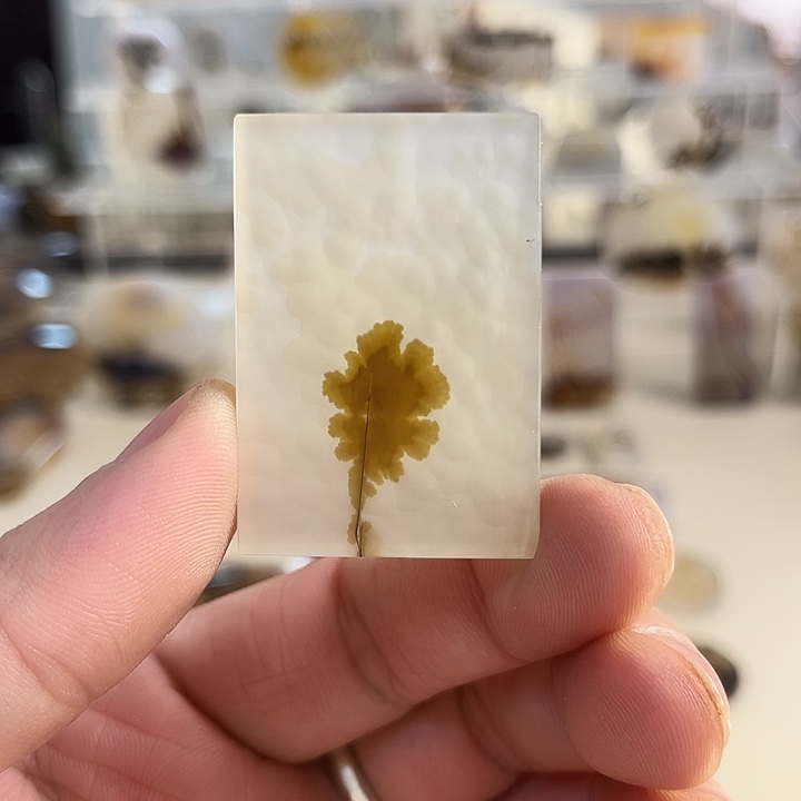 玛瑙/玉髓吊坠(不含链)未镶嵌