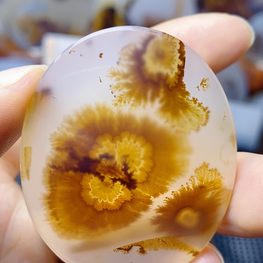 水***社玛瑙/玉髓未镶嵌珠宝奇石