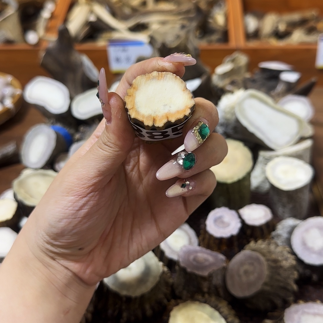 鹿骨手串/手链885根段