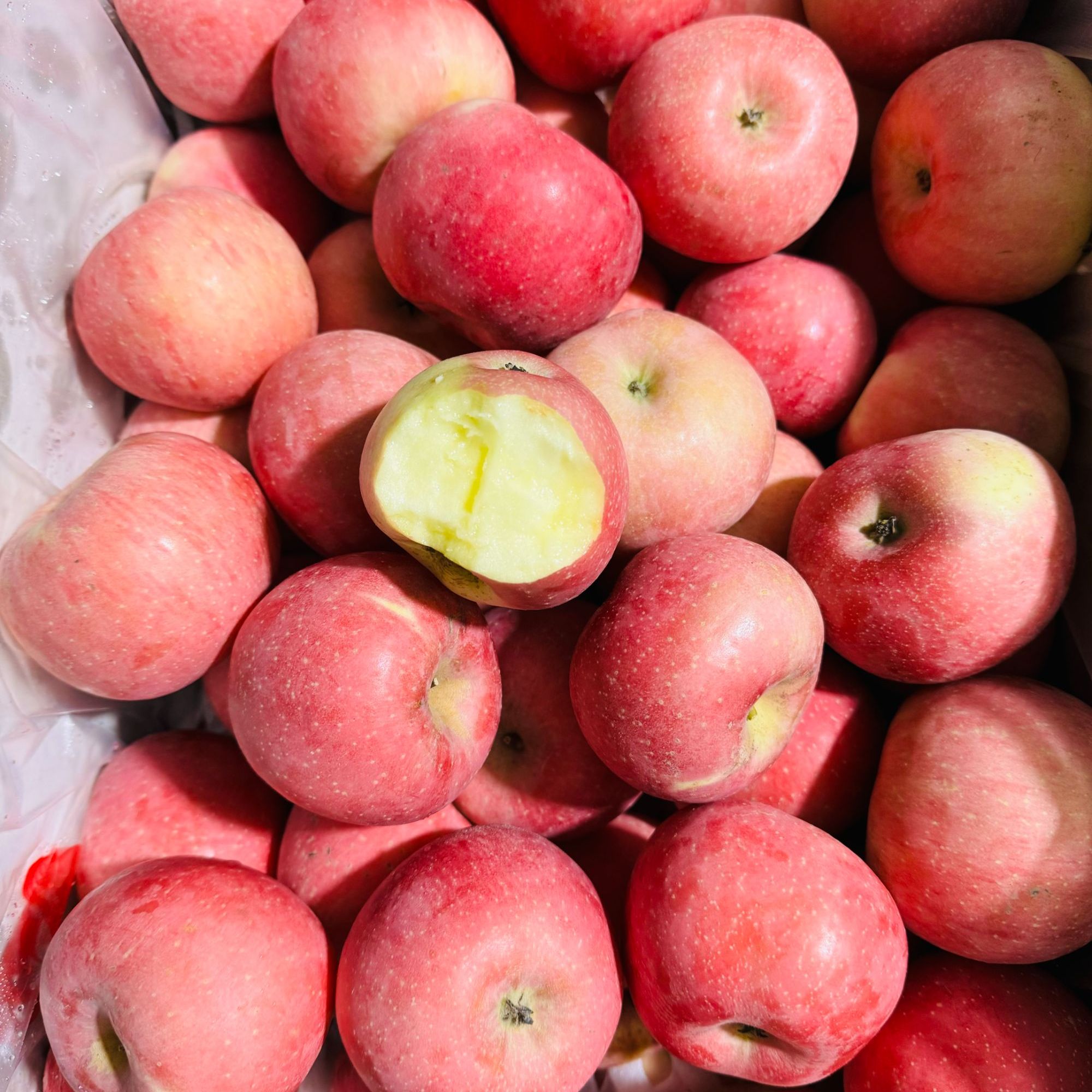 【洛川小苹果】4斤酸甜比例超赞