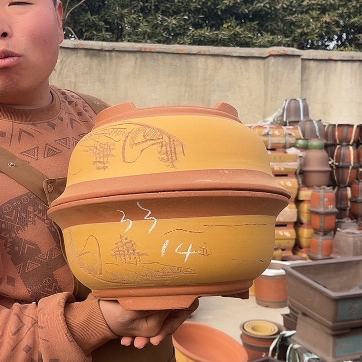 紫砂紫砂花盆盆栽