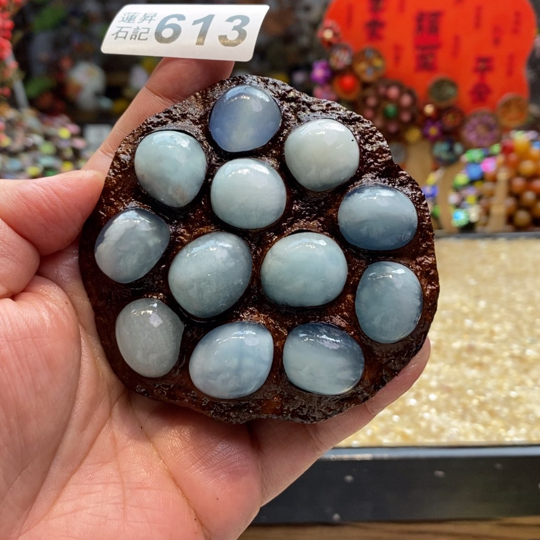 核桃木/黑胡桃（胡桃木）613海蓝