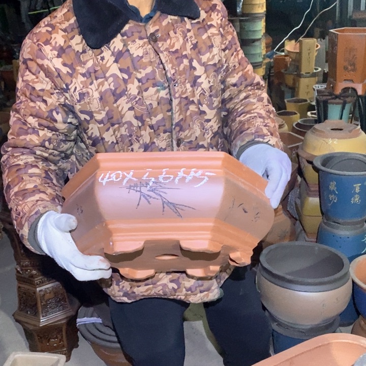 紫砂花盆紫砂花盆盆栽花卉苗木种植