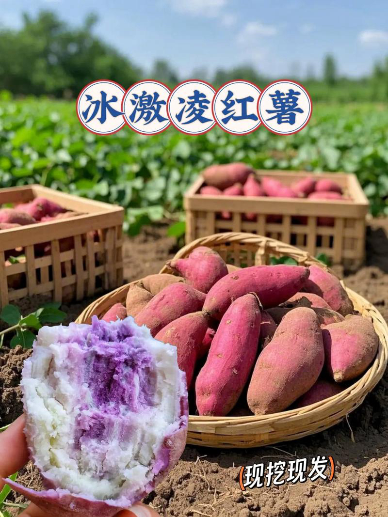 新鲜现挖粉糯香甜农家冰淇淋番薯粗粮红薯美食