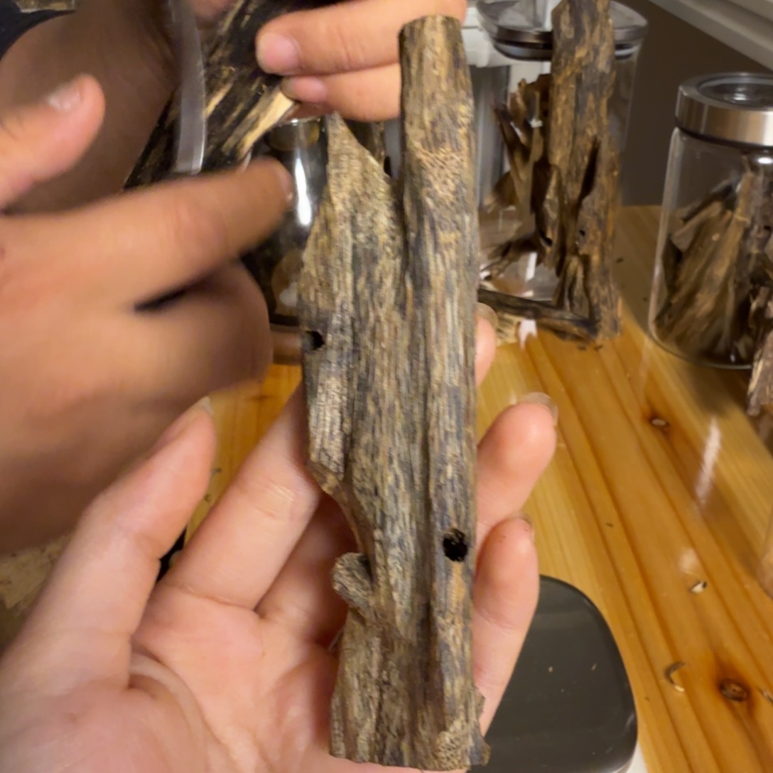 沉香白奇虫漏香26克