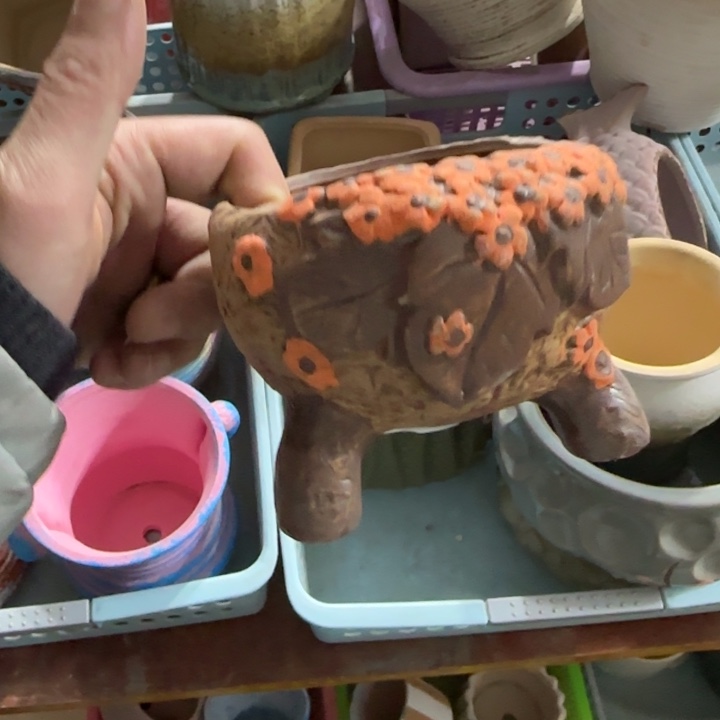 《所有单满15发（花盆）》9×8