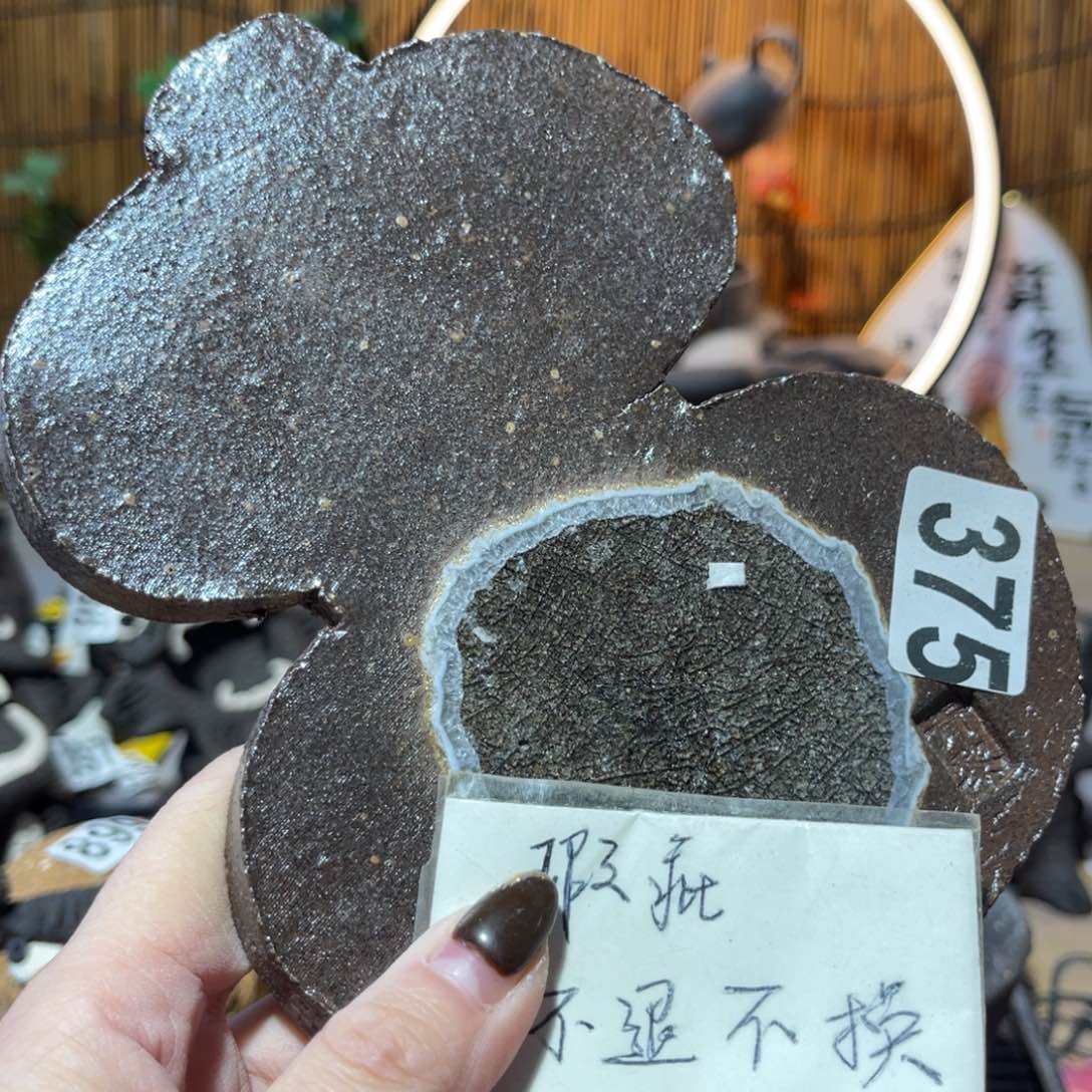 木村信弘柴烧保平