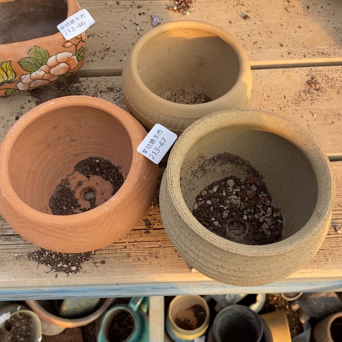 红陶小*47号多肉盆三个组合