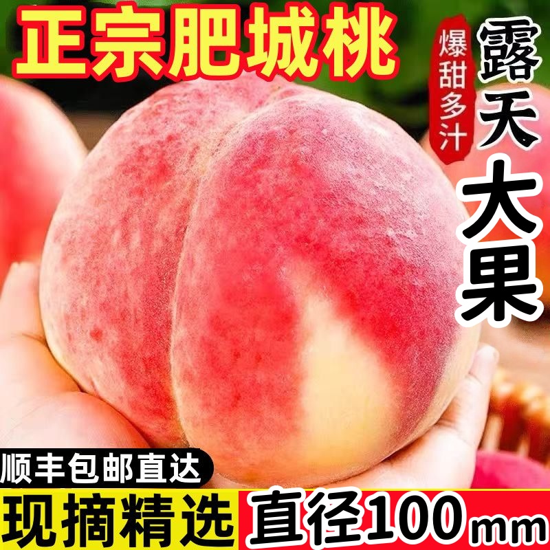 【送礼佳品】正宗肥城桃大果寿桃现摘现发当季脆桃肥桃果王单果1斤