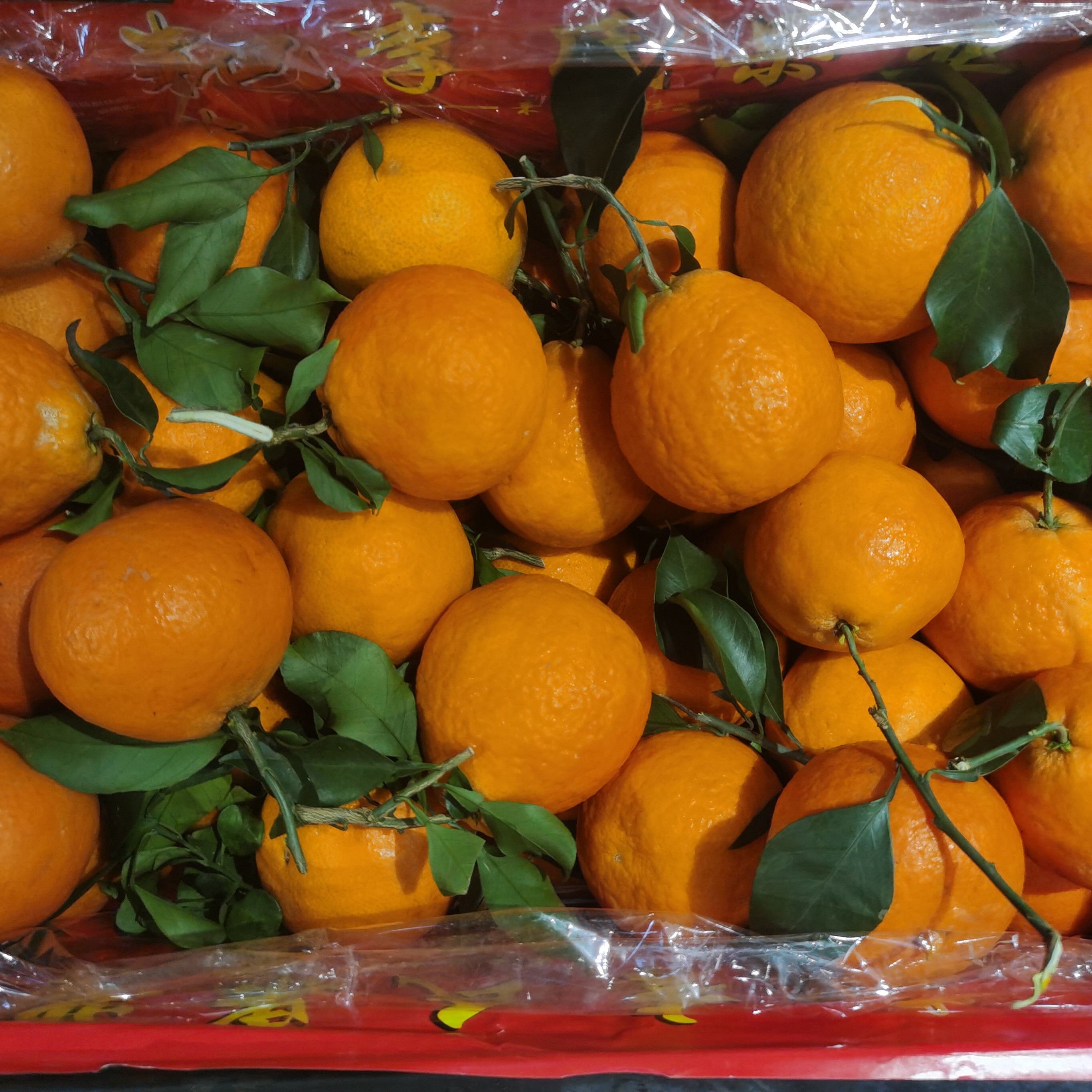 爱媛38果冻橙，皮薄肉嫩，水大甜9.9元3斤