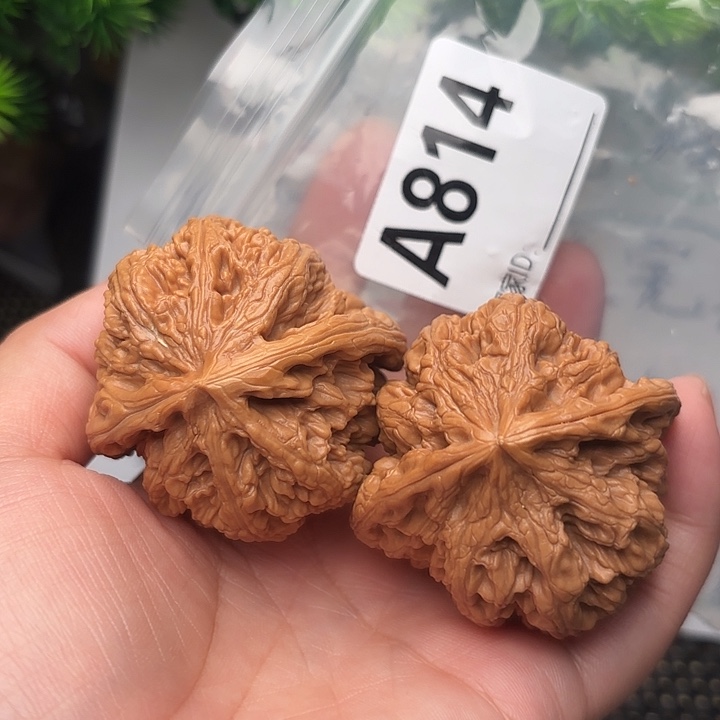 桃核把件核桃大粗筋49