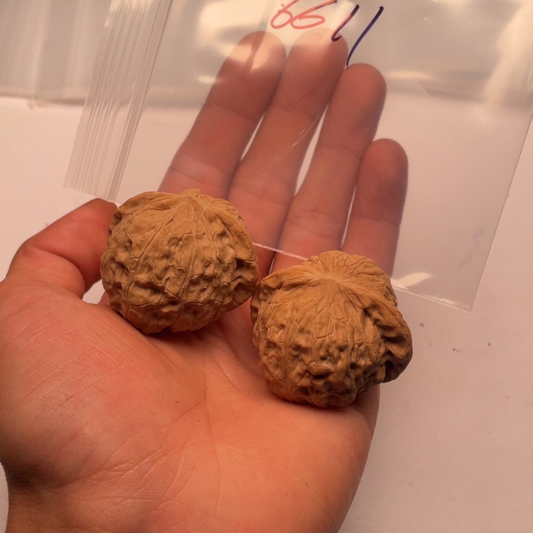 手串/手链核桃6611