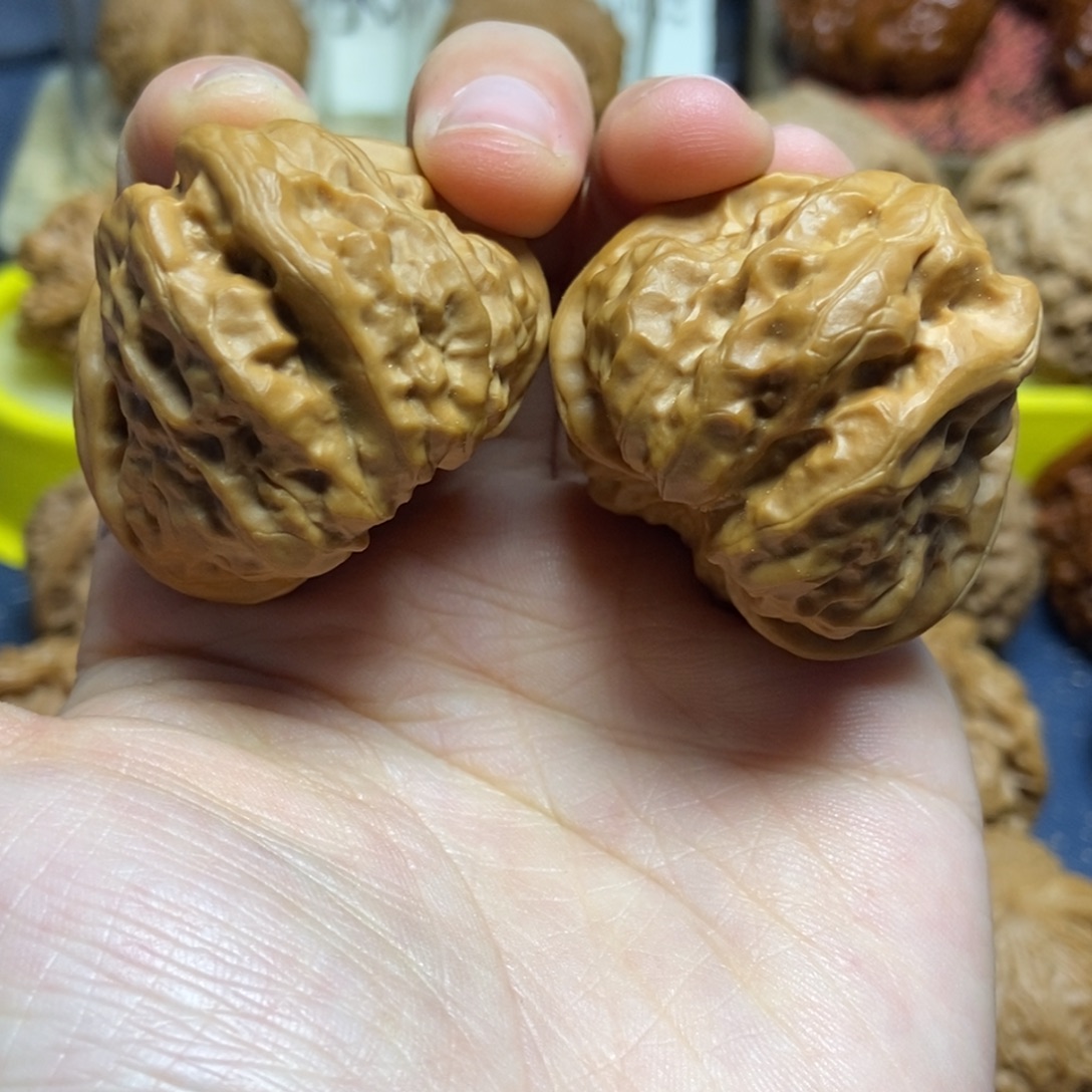 核桃肌肉蛤蟆头38尺5