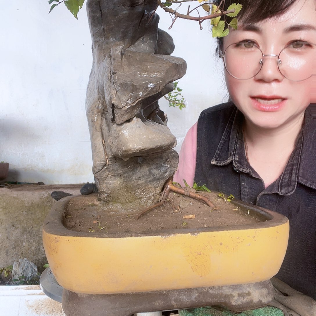 久***久无花朵直播间不见不散来看看有没有喜欢