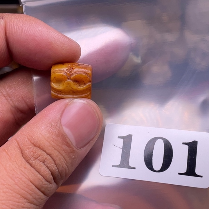 驼骨摆件人工养殖