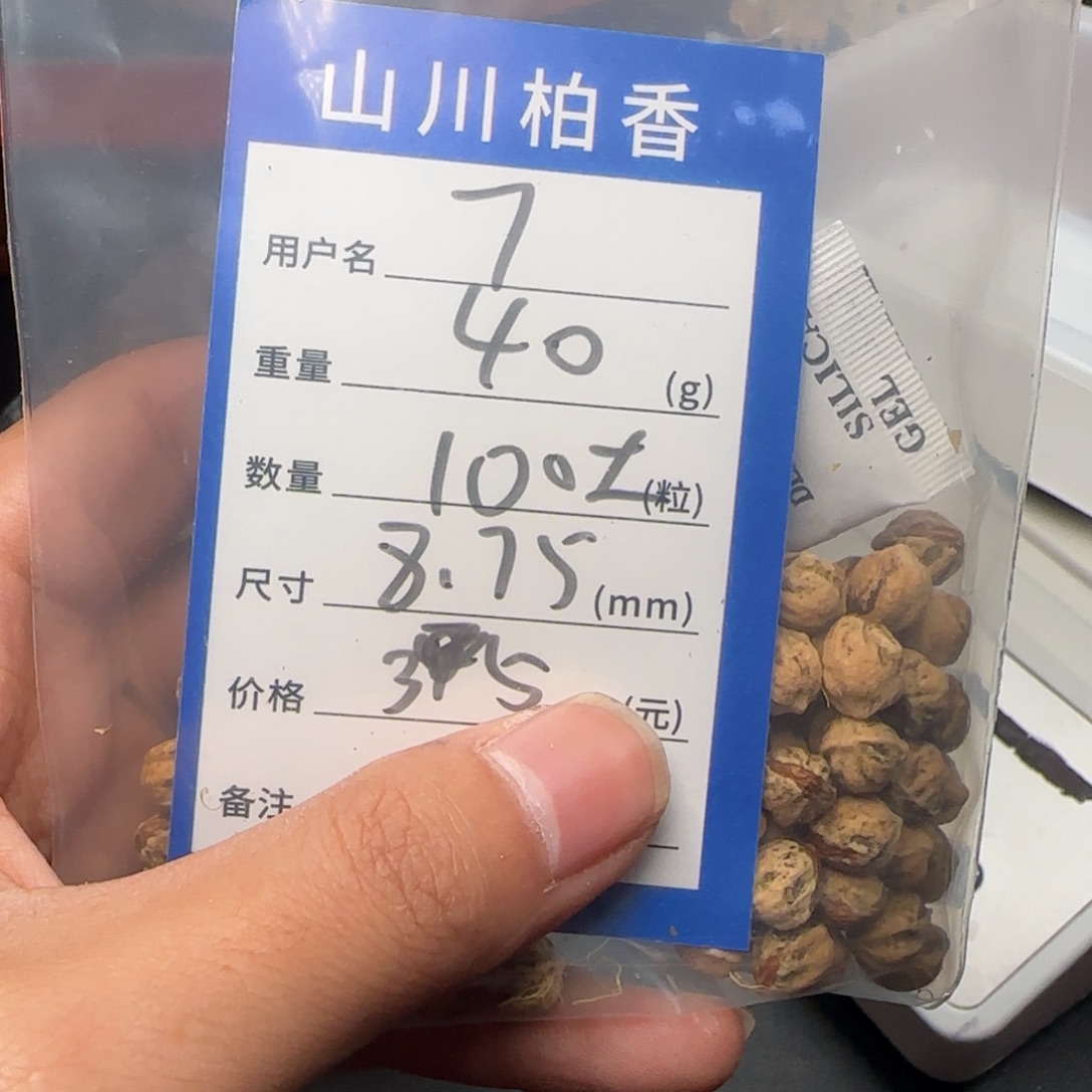 7***柏香籽/百香籽吊坠