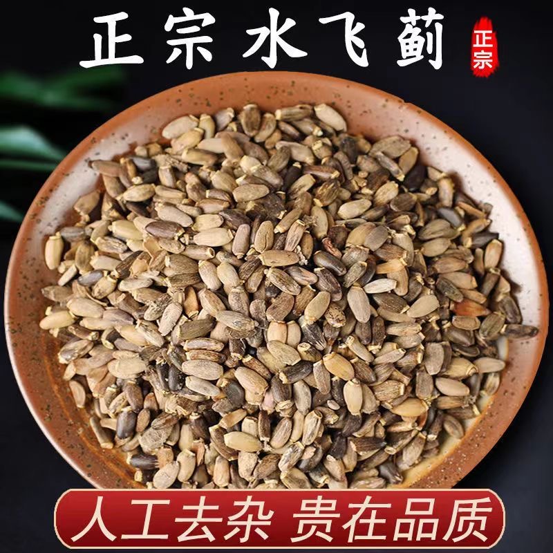 水飞蓟精选足干野水飞蓟奶蓟肝的天然守护者泡茶组合煮水配枸杞