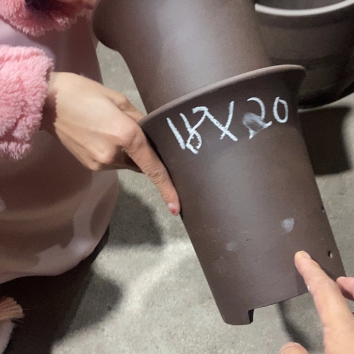 紫砂花盆18花盆花盆花盆花盆花盆