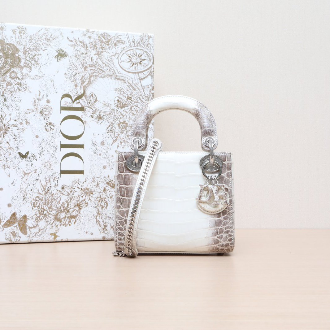 99新 DIOR/迪奥 小花6枫 Lady Dior 戴妃包 三格 2020 喜马拉雅