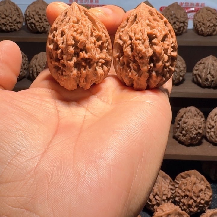 我***发秦岭野生无名鸡心