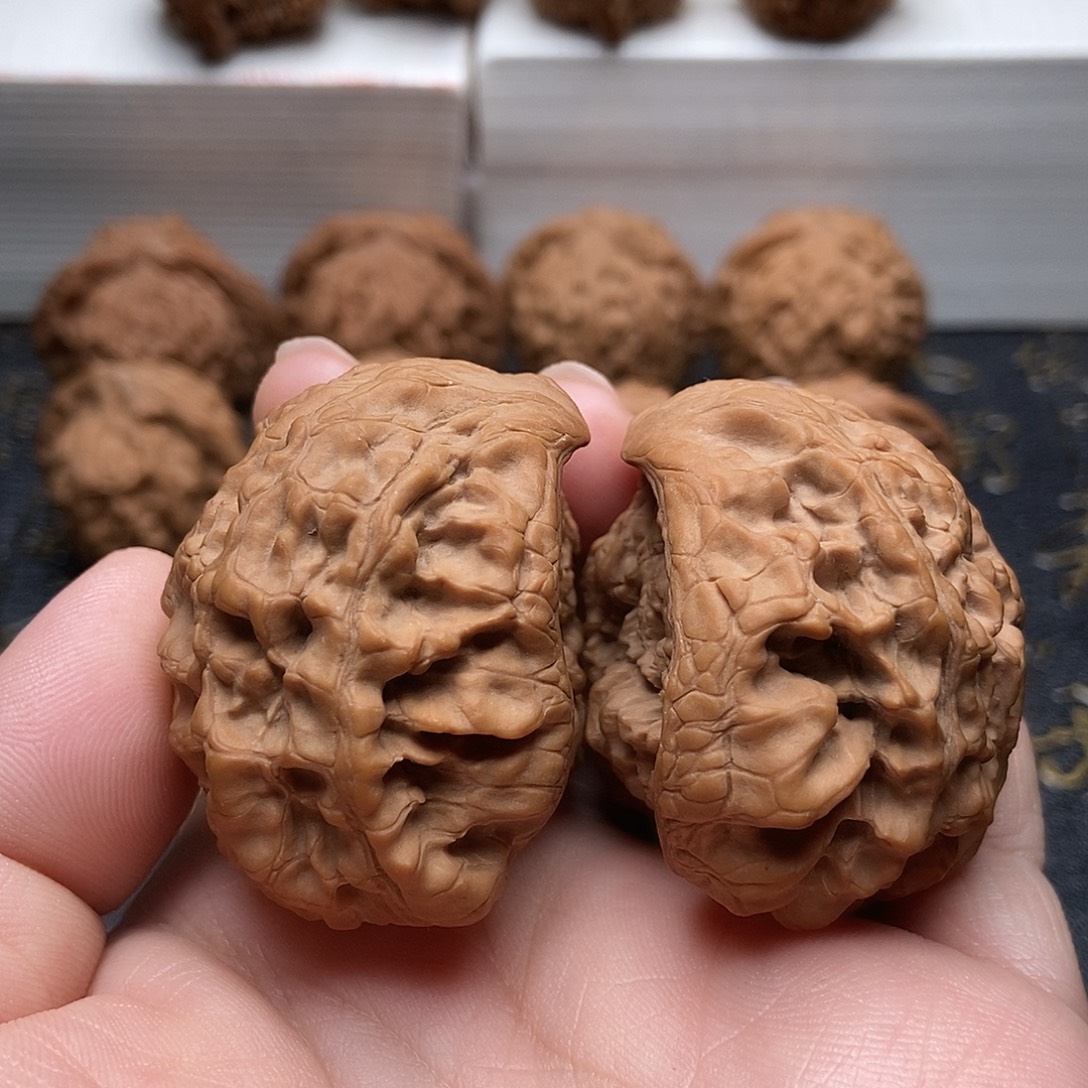 49尺全品无修蛇头