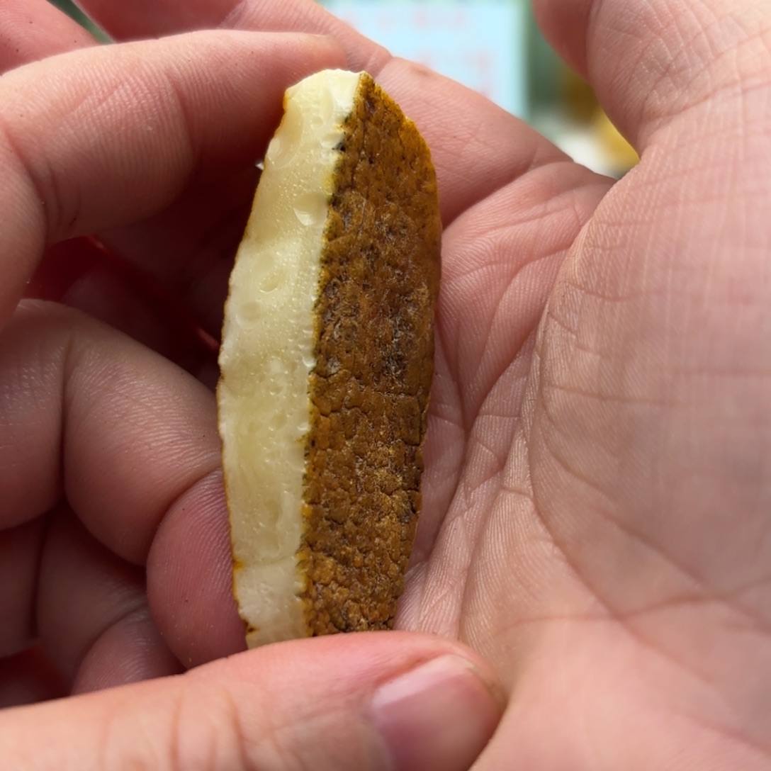 定制琥珀未镶嵌悦**士