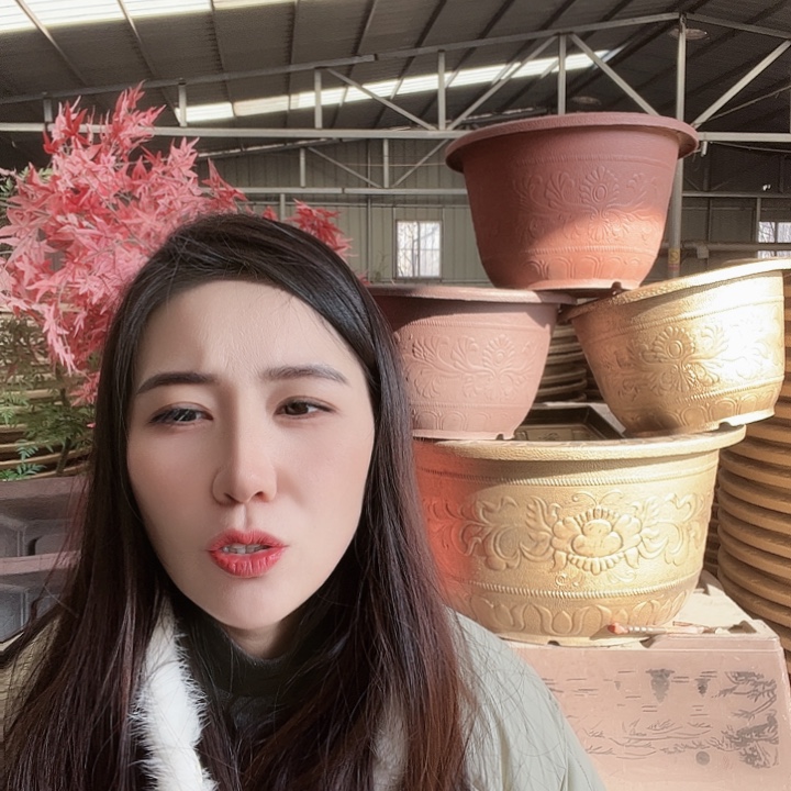 圆40口径花盆八个