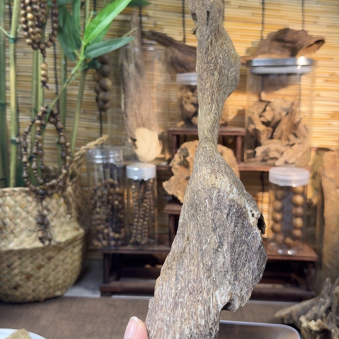 沉香沉香碎屑沉香虫漏165g