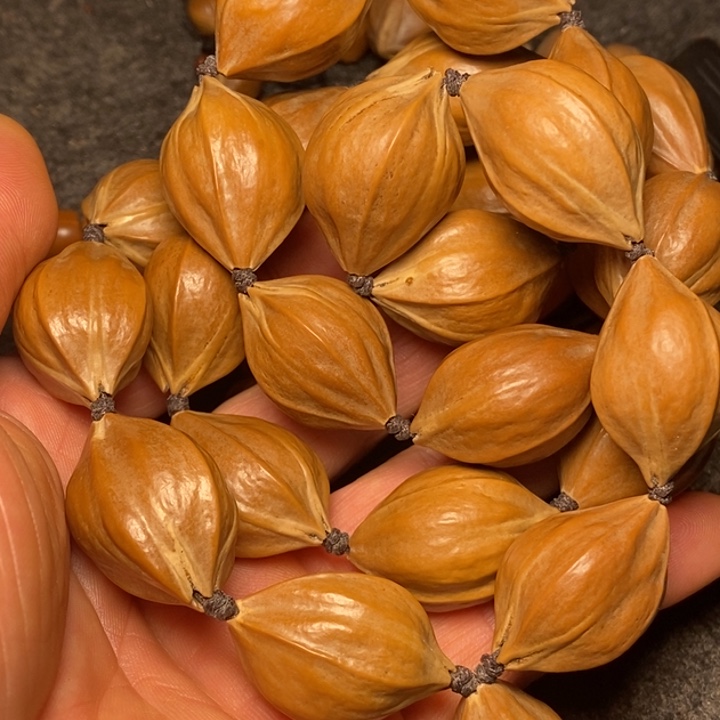 橄榄核手串2.1四花脖挂34号