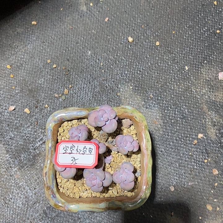 空***空阿克苏摩卡摁着我来啦啦咯啦