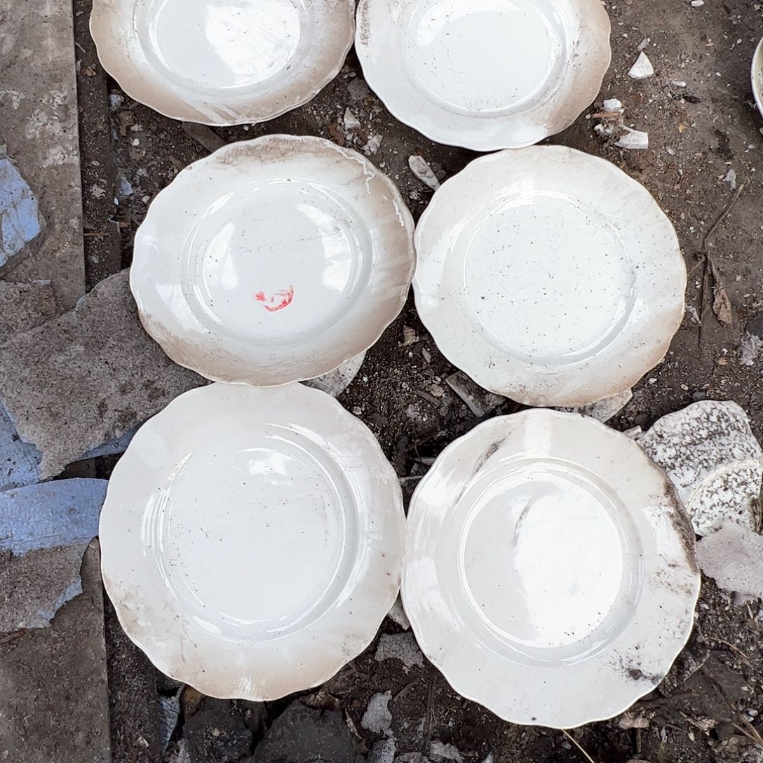 瓷景德镇高温陶瓷老白胎太阳花8寸6个