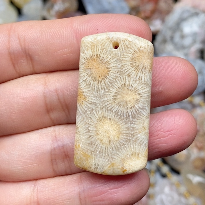 硅化珊瑚（珊瑚玉）手镯未镶嵌