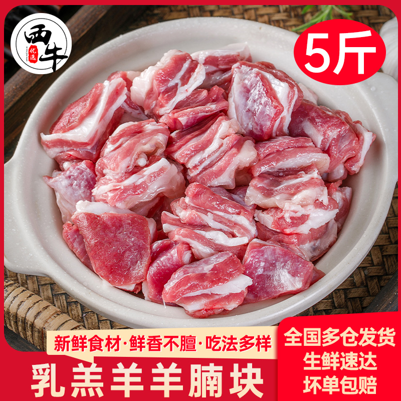 【24K年味】羊腩肉新鲜乳羔羊5斤羊肉羊腩块生鲜火锅烧烤食材