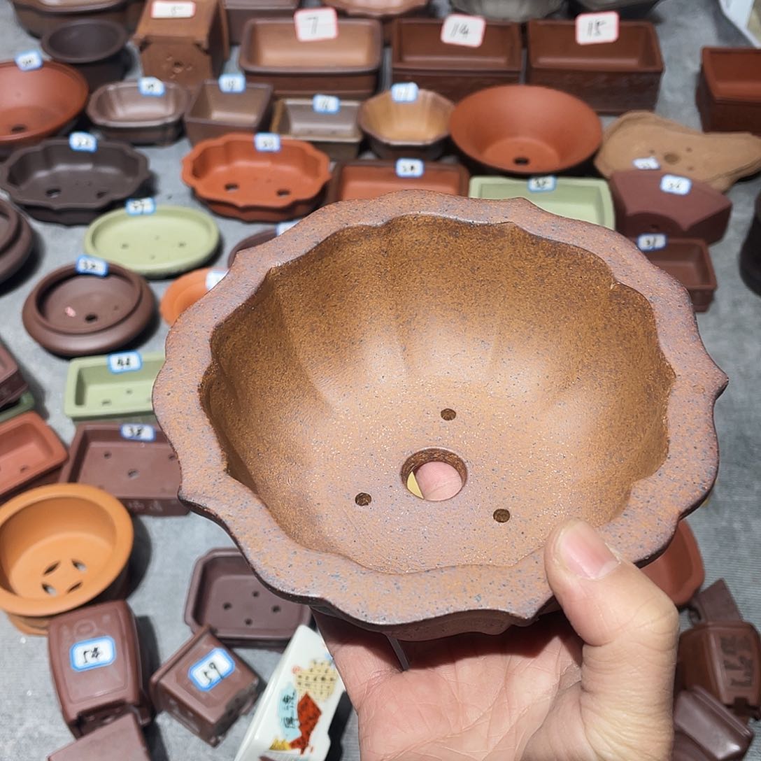 紫砂紫砂小盆13*5