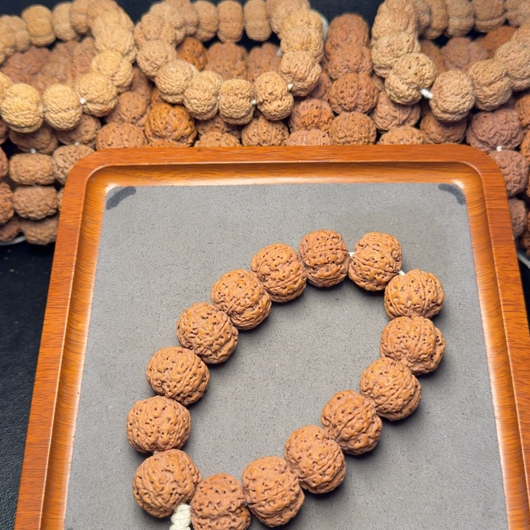 1号尼泊尔大金刚23五星梅花蜂窝