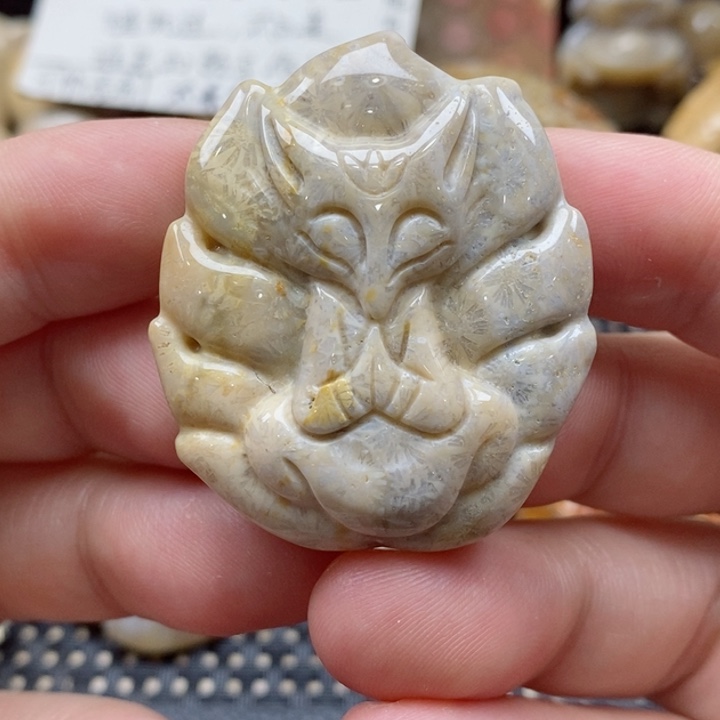 硅化珊瑚（珊瑚玉）颈饰未镶嵌