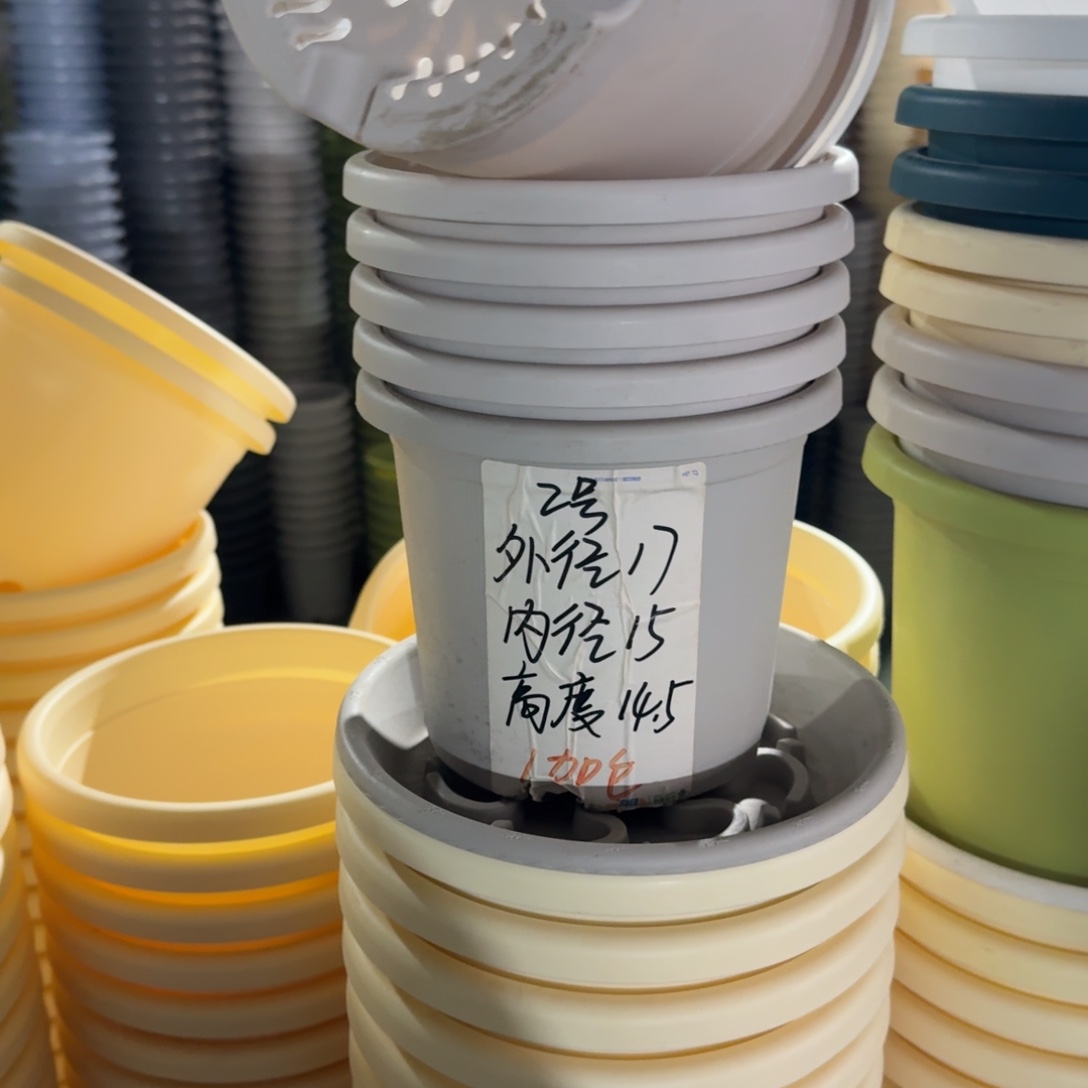 四季2#口径17无拖果绿6个