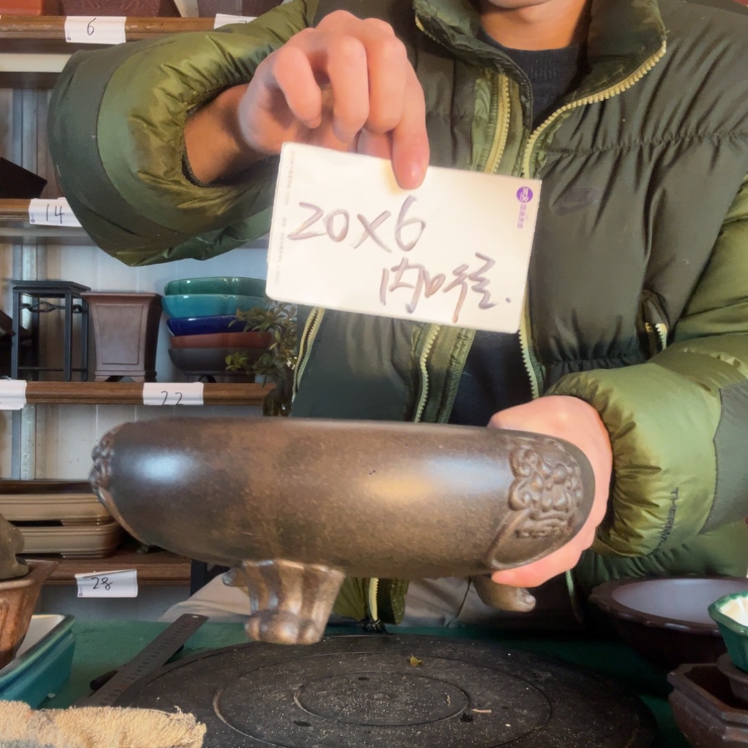 丢***星女人的地方国有国法